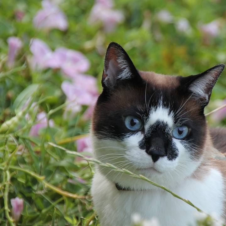 F7f06cab 2495 475b 81e2 b7e4e29181bd