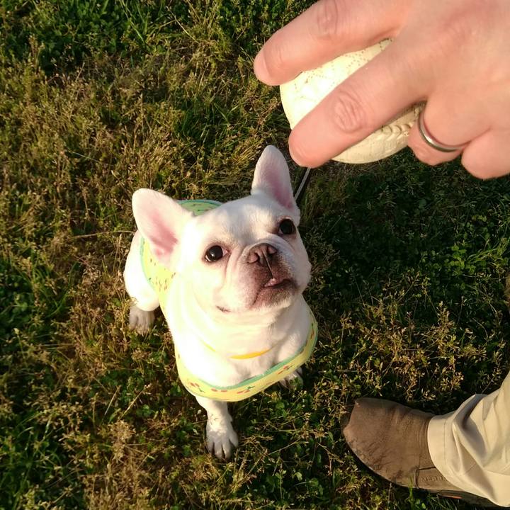 F7f100cd b1c2 4735 a978 086fdb69e616