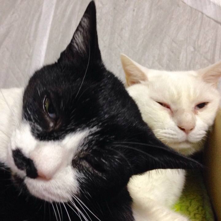 F7f1f3c4 7fe1 4add b84c 379e9aa9f66a