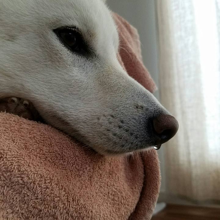 F7f20ed0 153d 45c0 bbd1 a1e8fc659bc3