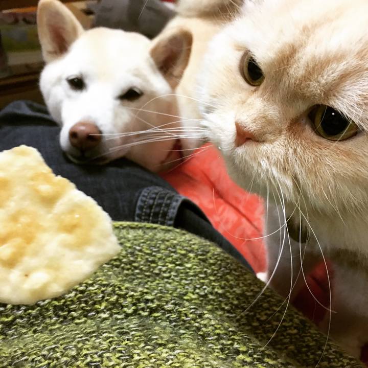 F7f232ff 9d3c 4b34 b868 928c083765c7