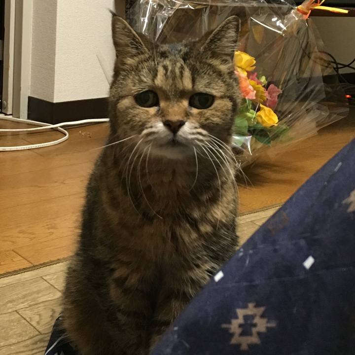 F7f2432f 3f2d 4c74 83b8 795af8bc7133