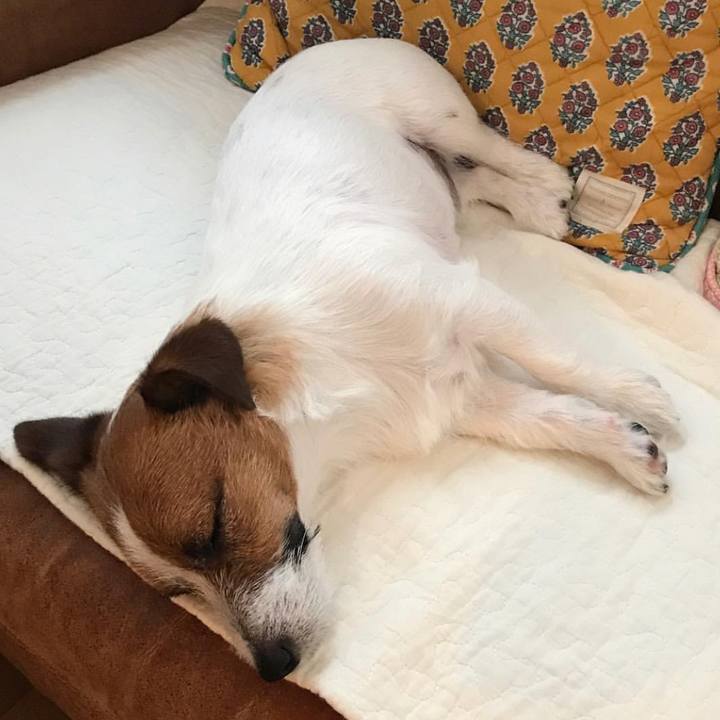 F7f2d767 c523 4b9c a454 7aaffe0d7e22