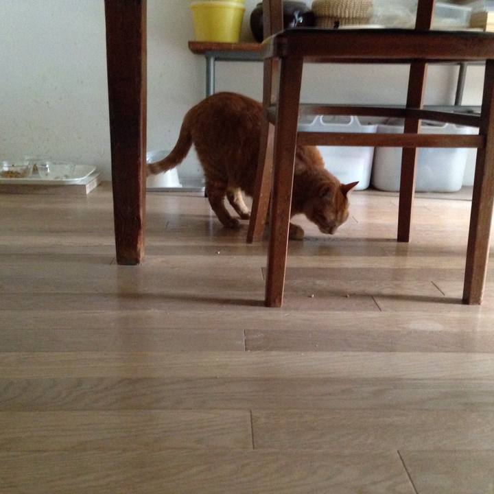 F7f2e1a6 1886 40ae 9e50 c8b69949f175