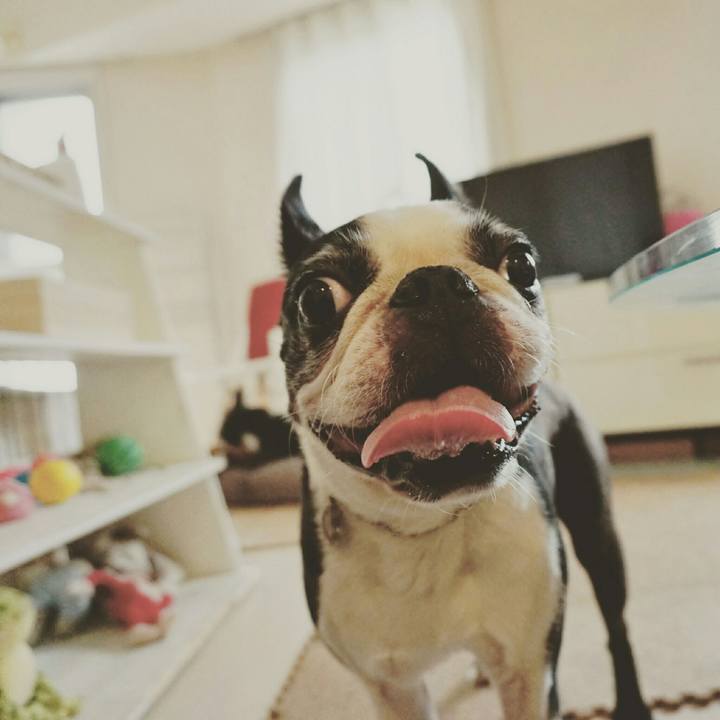 F7f2f6fa 658e 4ab4 b887 31349df853e4