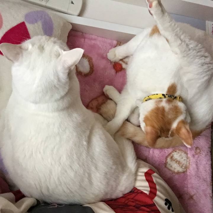 F7f3053e 85be 4c42 b395 f9d9334c76e8