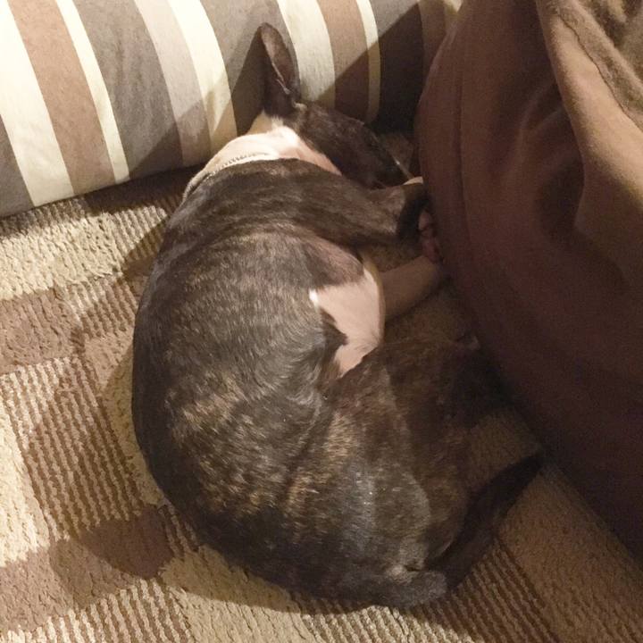 F7f364c9 a3b1 4c83 a48d faad0ecfdfdd