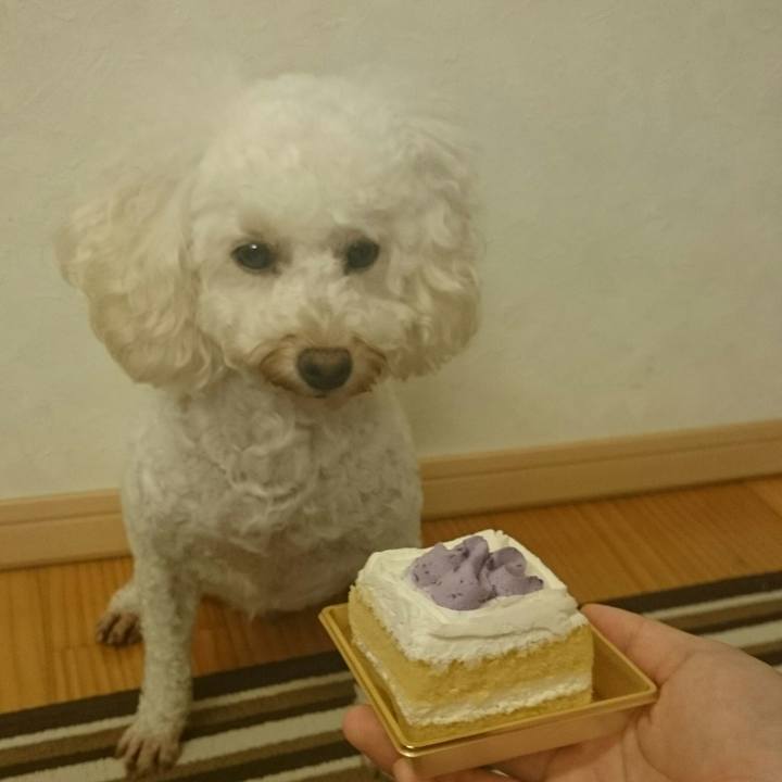 F7f501bb 4dcd 4970 b50e 986f226069a5