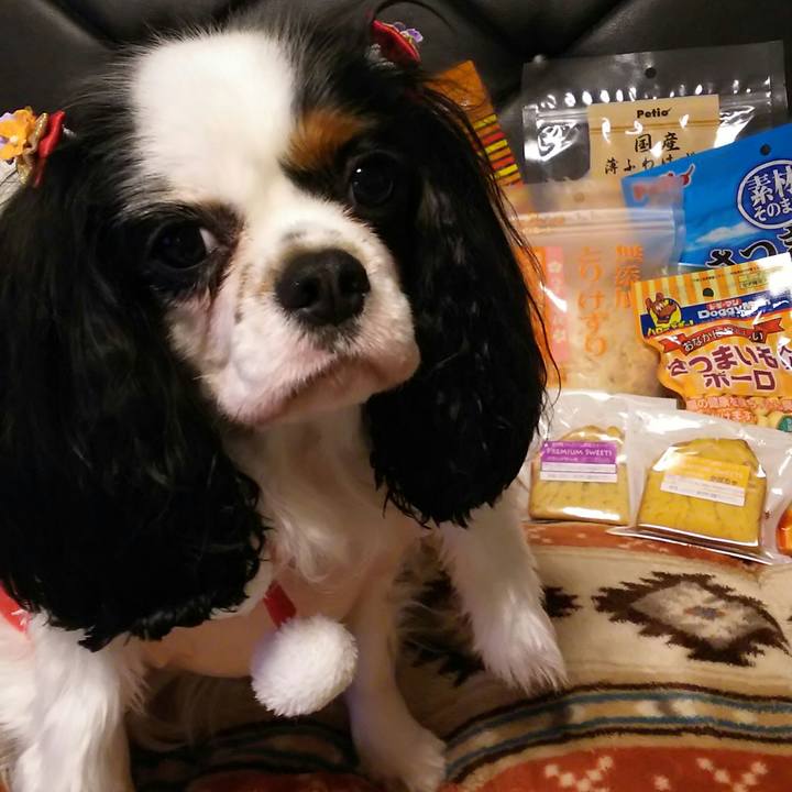 F7f5a281 a45e 4372 9b0a 437855647a4e