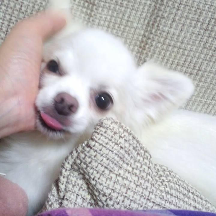 F7f5c3e2 2b26 444c b5ef ebede34b70cc