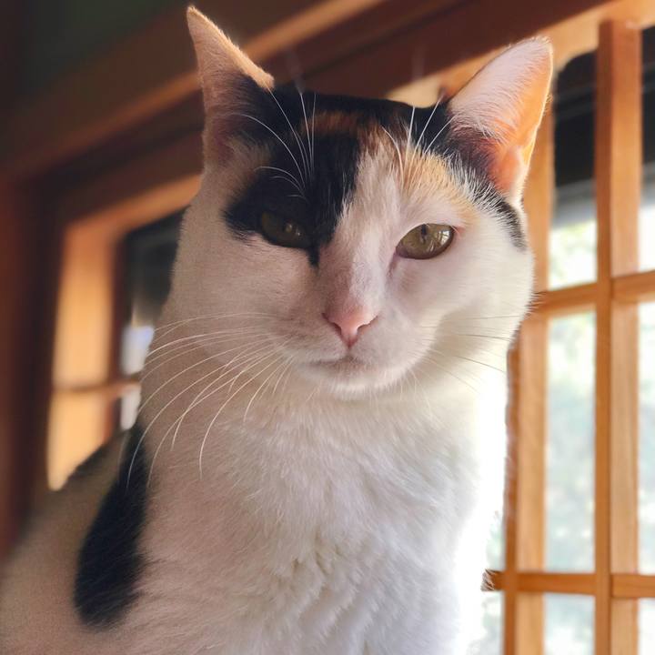 F7f74317 456a 445b 9de7 1e1a027ae8eb