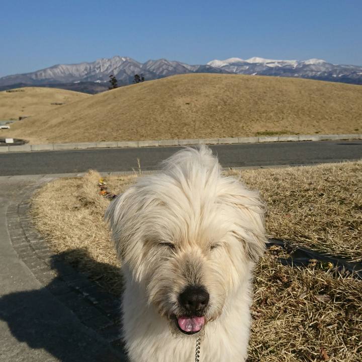 F7f75b67 71be 45f2 a2dd caf757feed71