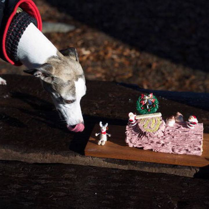 F7f78843 851d 4365 bd8c e5d5c6e405f9