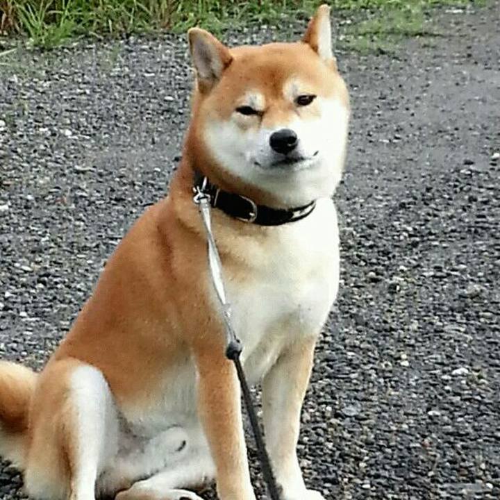 F7f7b1f0 bb4c 441a 80eb ca6b56e4eb37