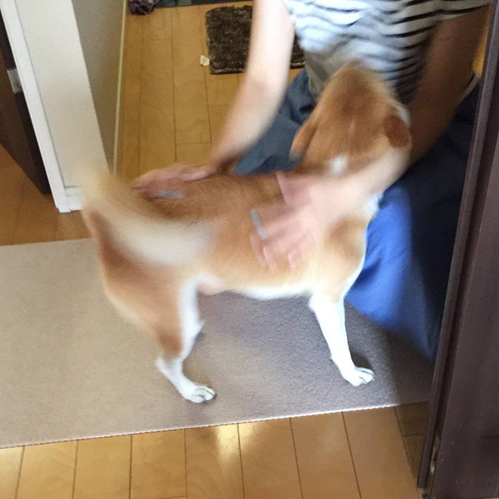 F7f811d8 02de 414c 9d10 c0f7070ad464