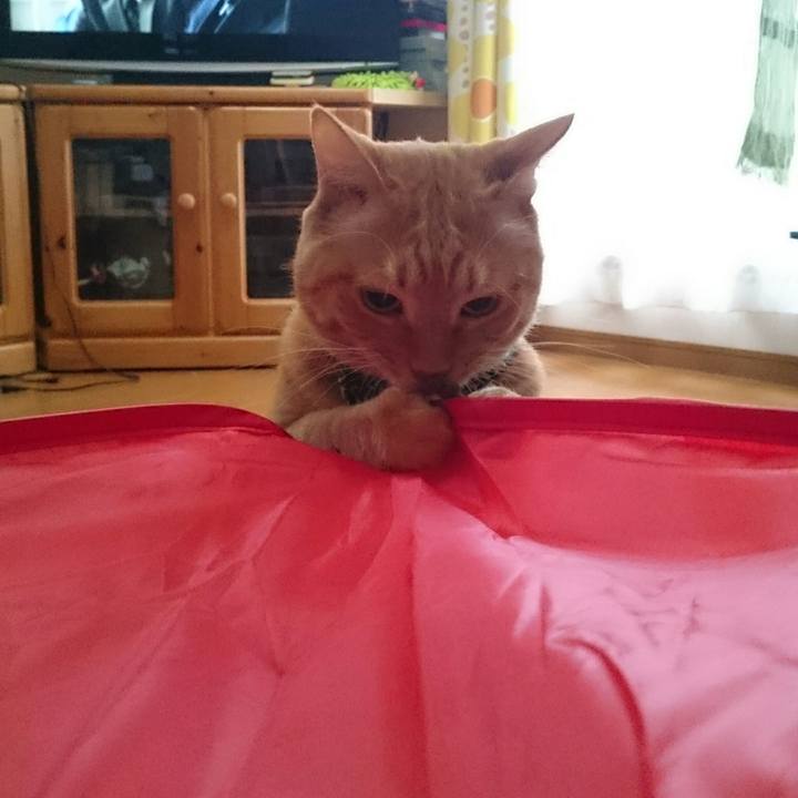 F7f87a9d 3bcc 4025 b222 b2c154fdd1f2