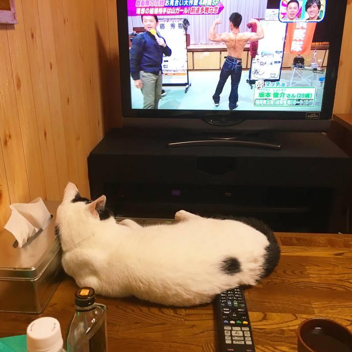 F7f91e5d 0bf6 47af 91b1 457dec6fec83