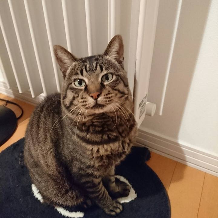 F7f967c9 0665 4b42 997e 773a97535039