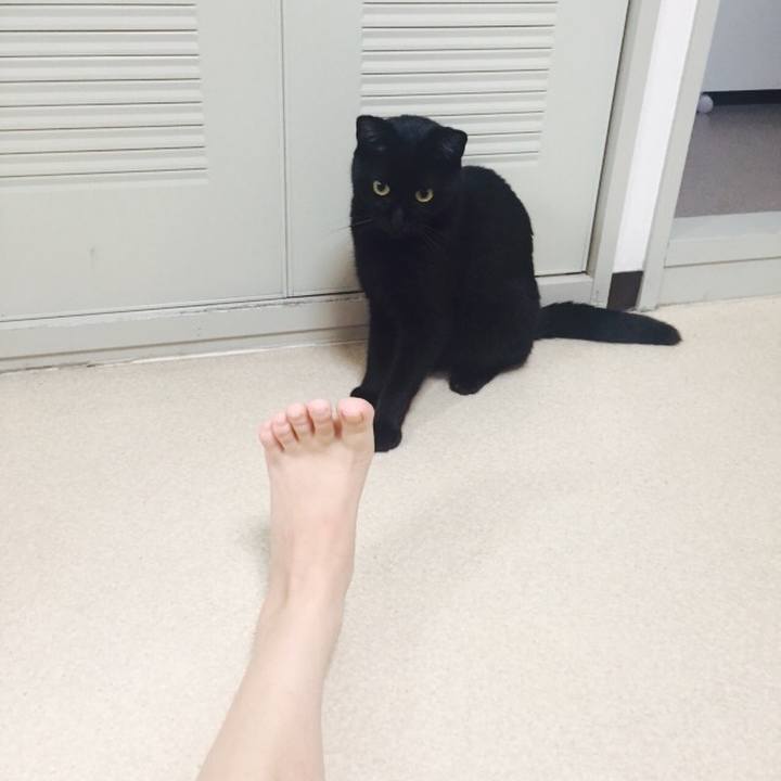 F7fa38e9 bd4e 4d7f b7c3 ea57bd4ba012