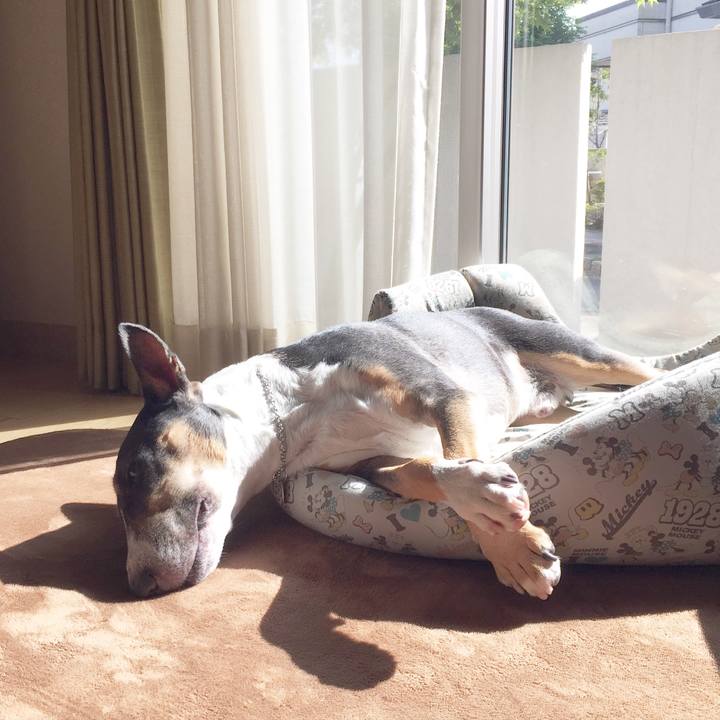 F7fa888c cd0c 4d38 9aa2 65997905d246