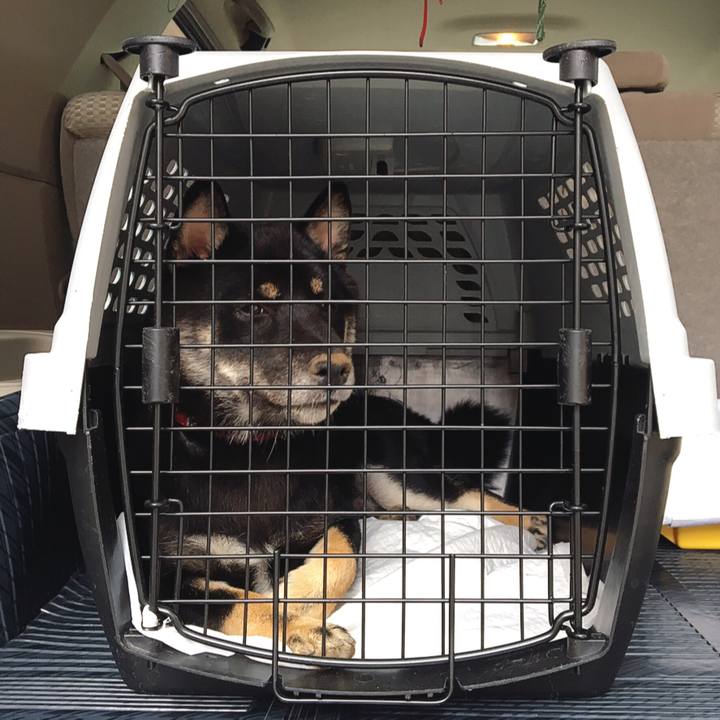 F7faeaae fcf7 4fd2 9858 c05adc5f7322