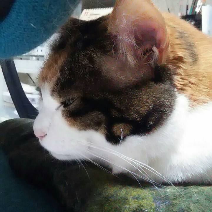 F7fb00db 5921 4253 9051 b2c5d79307e9