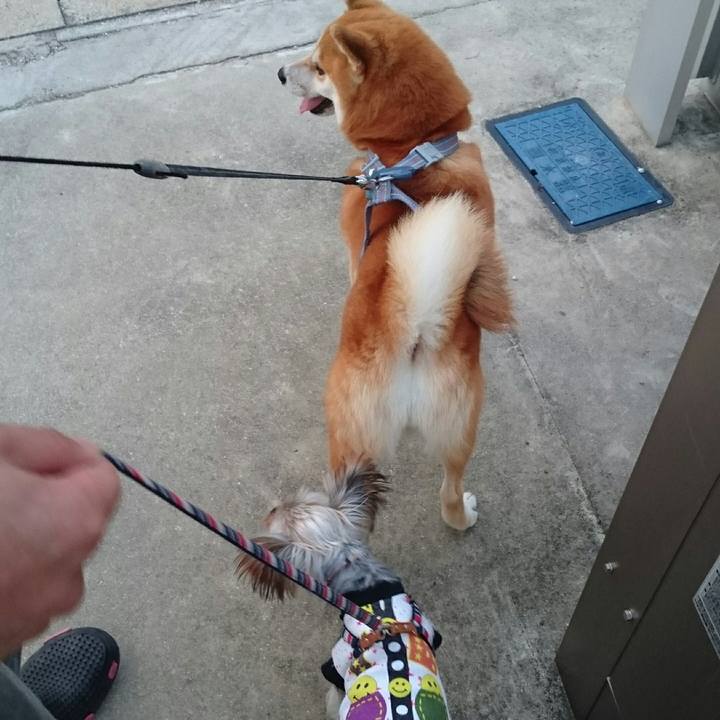 F7fb3569 cfe5 46d7 ba26 241994b5fe1b