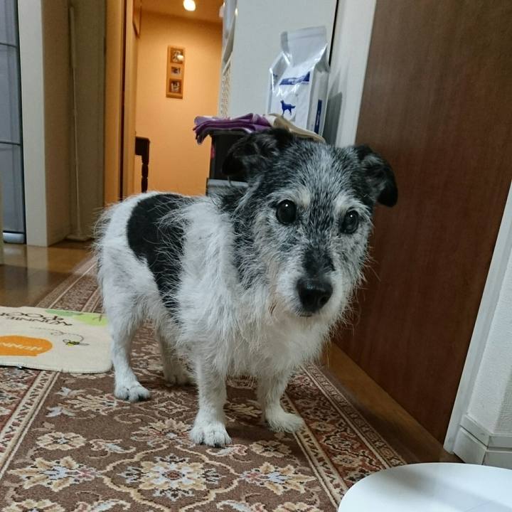 F7fb46da 38d2 4199 a5c9 566c7ab06a36