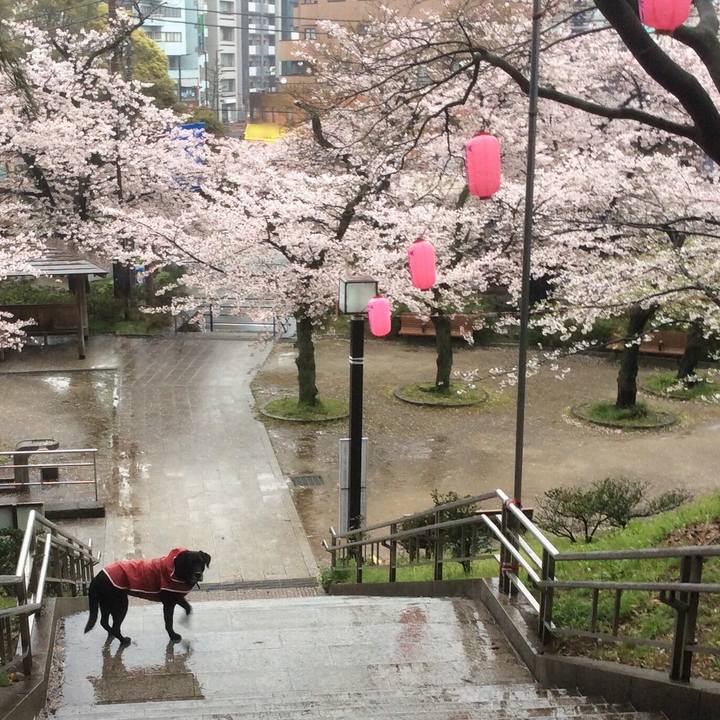 F7fc23bf 1e2c 46b1 ac47 3dd7a1665a77