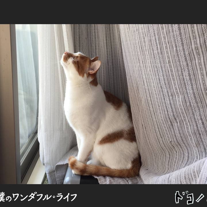 F7fc2dfc 7160 49ce 9aa8 81f29e6ebb41