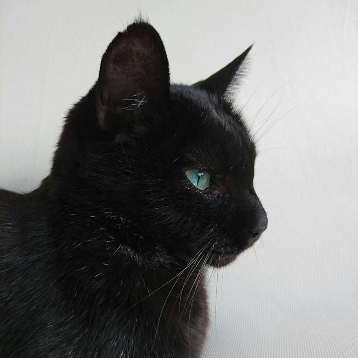 F7fd49a1 2f26 4bdc 97d2 e04948b7b57b