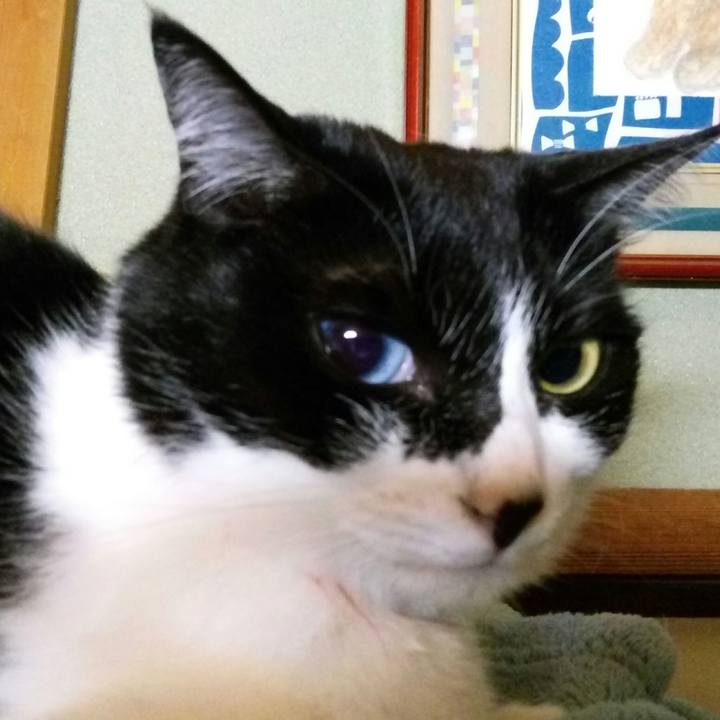 F7fd6030 8f5a 4cc4 975b 50ef5c324f15