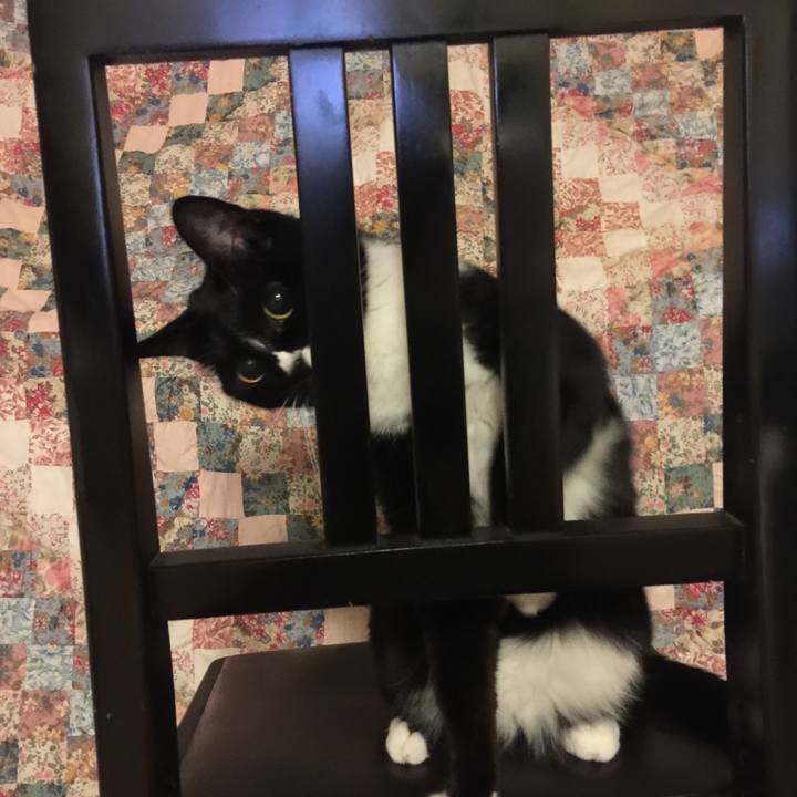 F7fde0a9 a21a 4e3c 9ecb 80ccfba0fc30