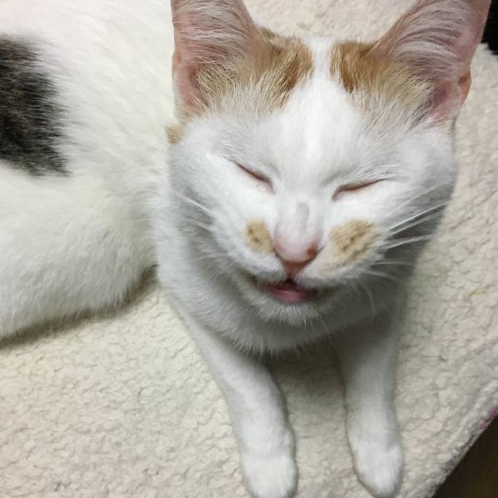 F7fe2266 53f1 47f1 a409 547769a1ff43