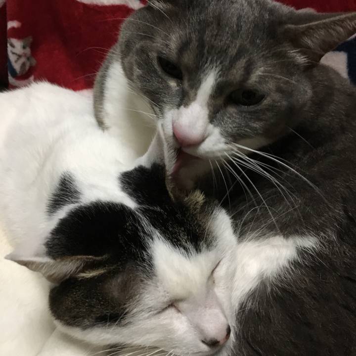 F7fe97ae f43e 40c0 b470 c7df39a57f07