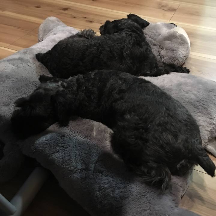 F7feedeb f06e 4b5e 908c 2d1d4e20b7f9