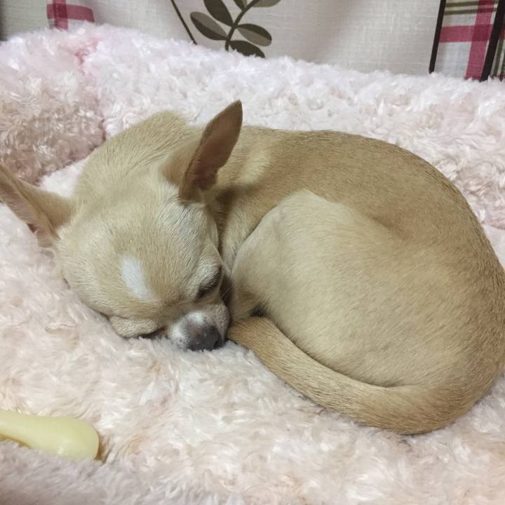 F80053f7 a08e 4574 93b1 4dc884b6ac4e