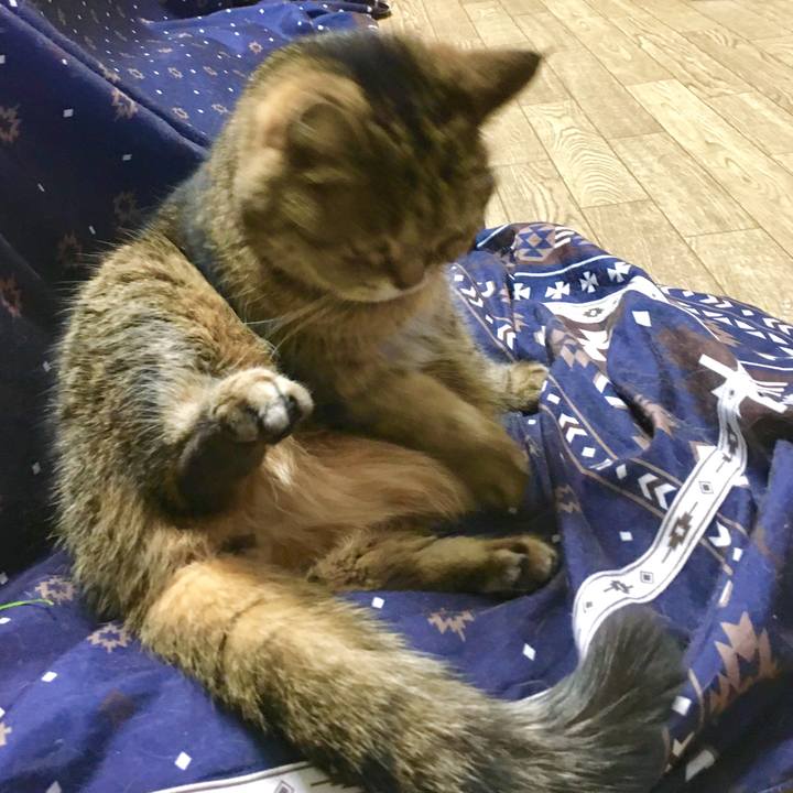 F8012fe2 25b4 48e8 89bf 6c2b37e1079c