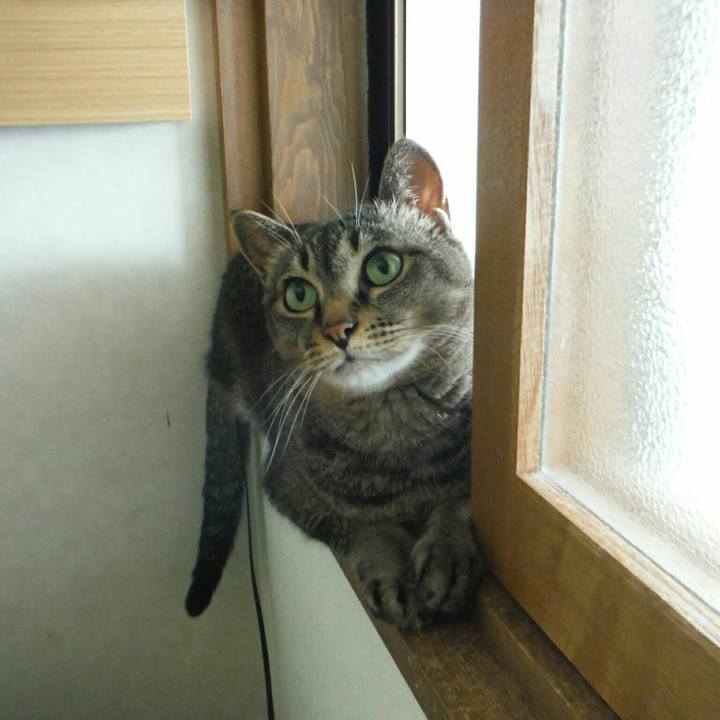 F801a86d 3e18 41c2 8935 1c34191cbc2a