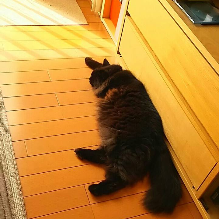 F8023629 f96a 4f31 8efc 56abd512cbdc