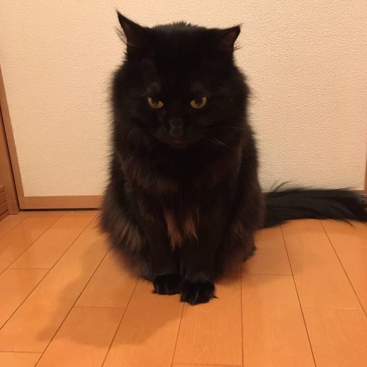 F8038edd e802 4453 91fd 09662debd561