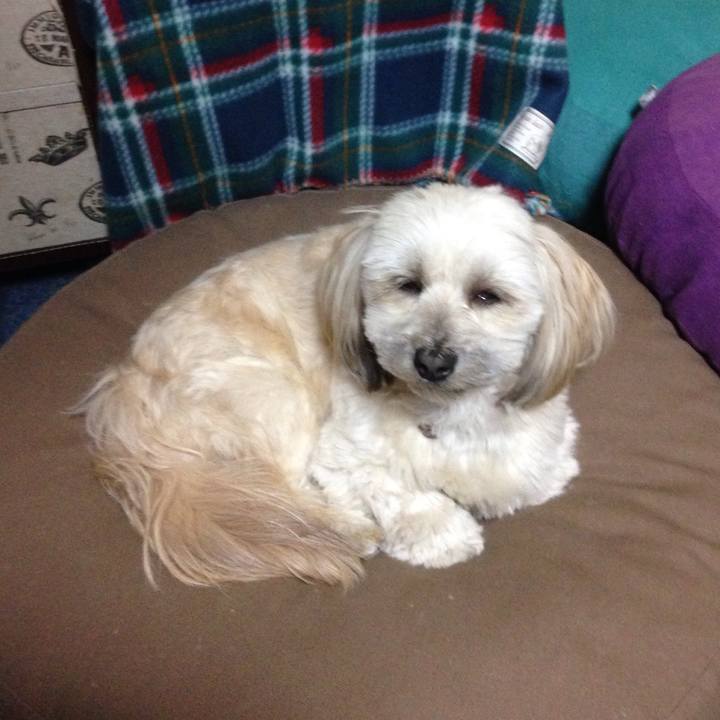 F8040877 b723 4903 bdc8 34ebb0da3732