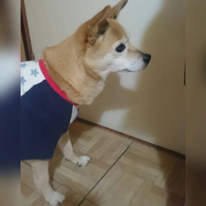 F804578a 08cd 4ecd 8770 3c22b65cfb16