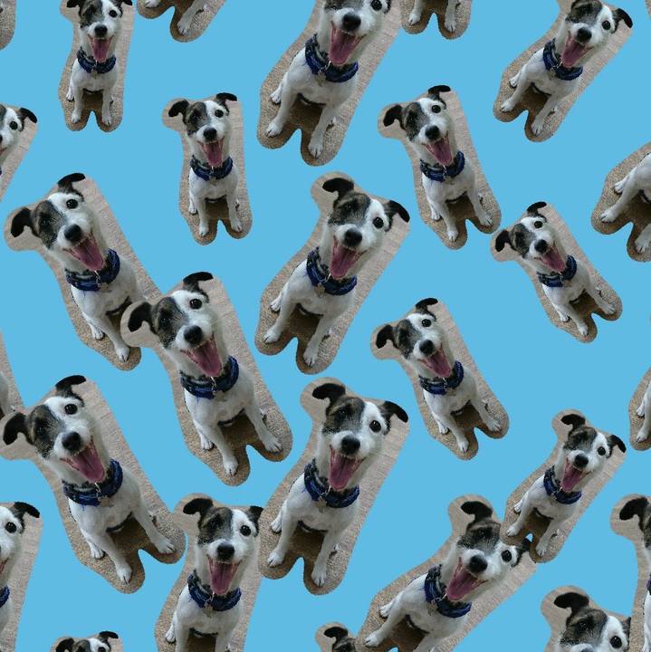 F8045dea 66b3 450b 8aff f5e4e0c61d43