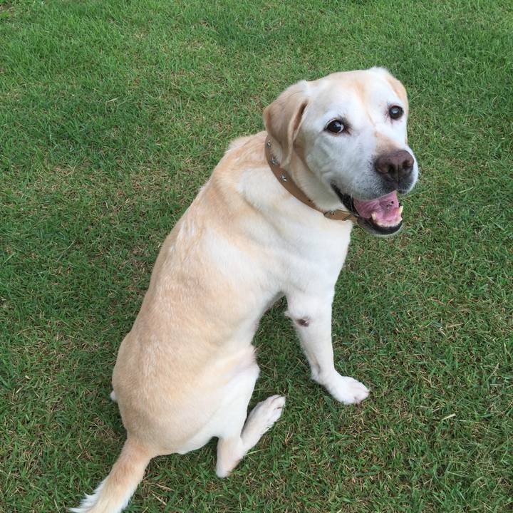 F80522a1 c932 4b25 8758 0602d5acca0b