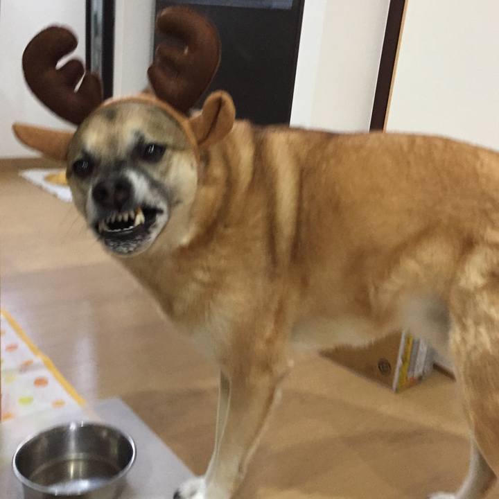 F8060b34 e5e1 4b36 a0d3 3e2c3020a341