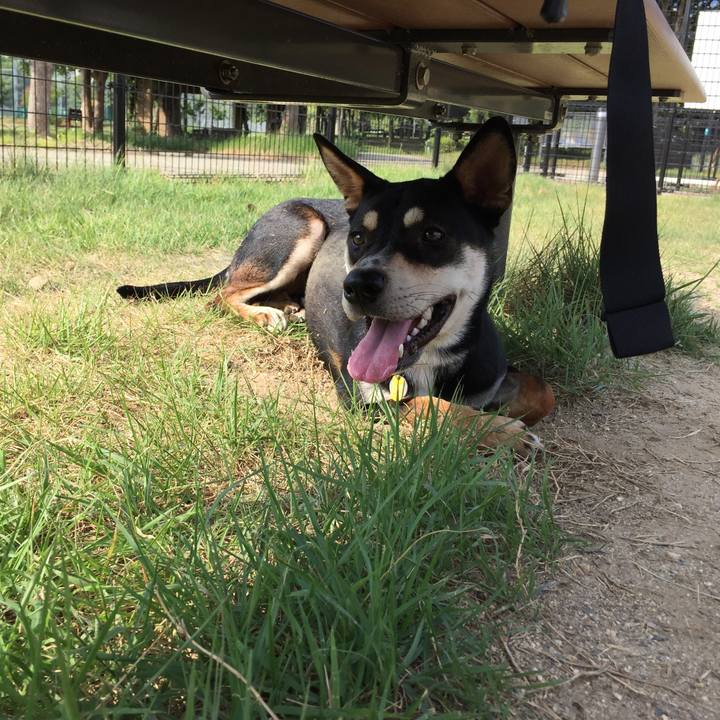 F80685e5 860f 46ef be31 df4cacdc0fdb