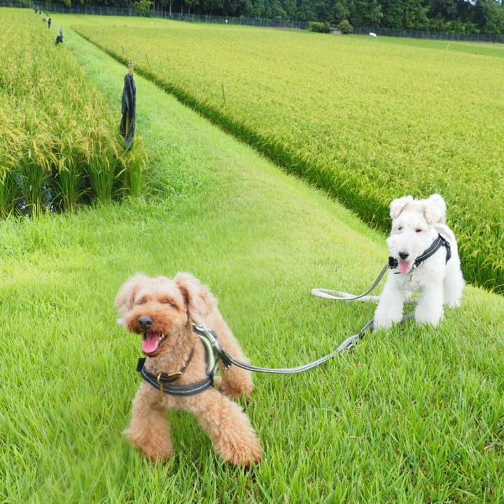 F8068e16 b29a 46c2 b99d df9efc0e98e7