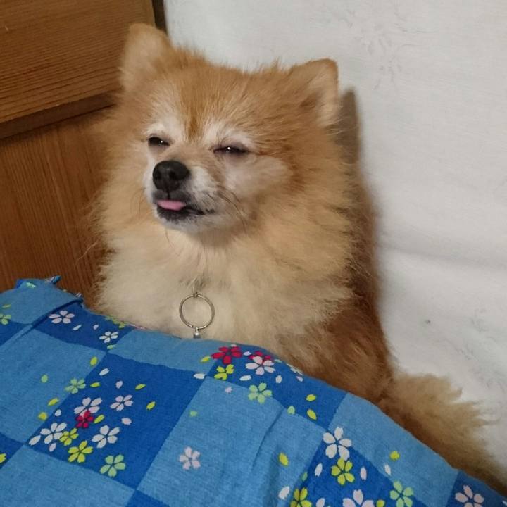 F8079025 daa8 4e1f bbef 9e7120256ca0