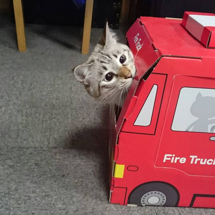 F807d57f b028 4f19 a797 b634210cd701